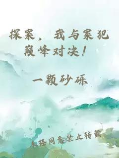 探案，我与案犯巅峰对决！