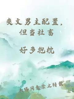 爽文男主配置，但当社畜