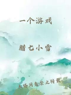 一个游戏